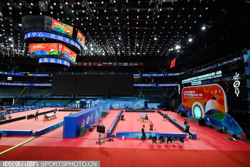 解析亚利桑那响尾蛇队如何通过多元化球员组合实现跨文化共融